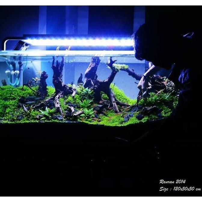 Full Set Aquarium Aquascape 120cm
