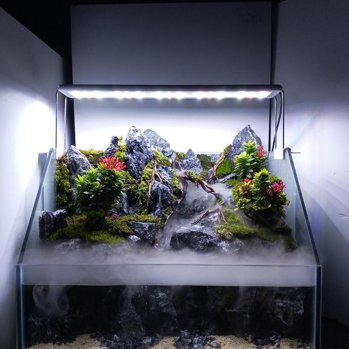 paludarium fullset berbagai ukuran