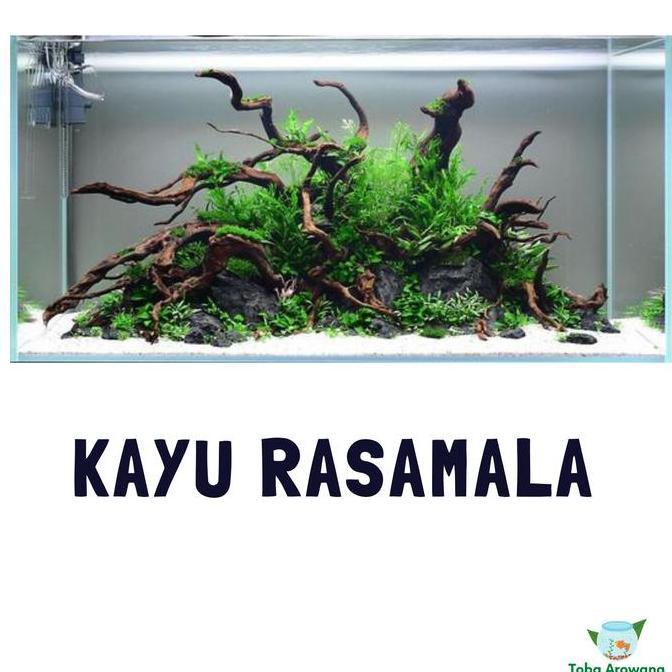 Kayu Akar Rasamala Hiasan Aquarium Aquascape Size Besar Gojek Grab