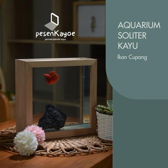 Aquarium Mini Soliter Kayu Aesthetic.