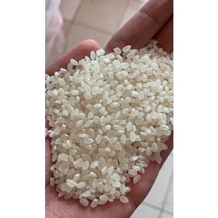 Beras Jepang Pulen Enak Karung Polos 5kg-20kg