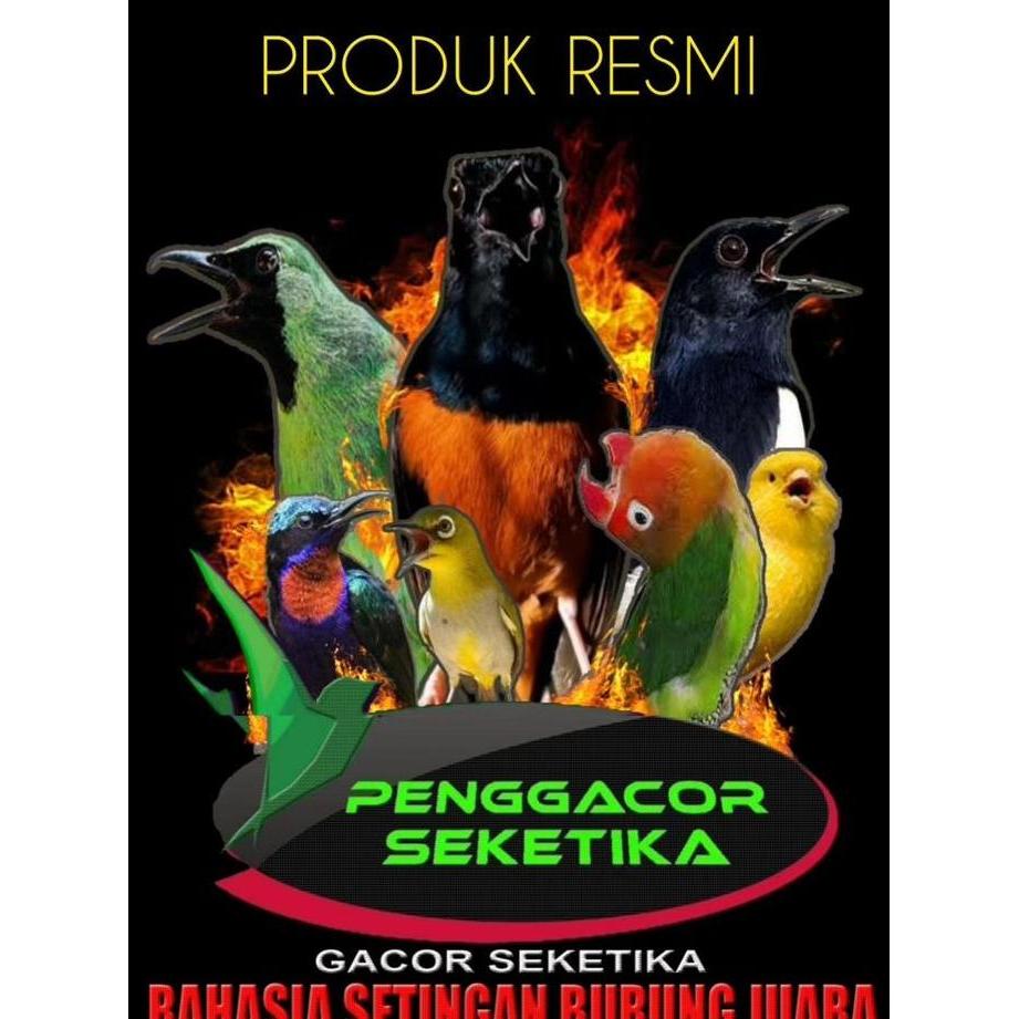 Bluee- Cendo Bird Mengatasi Sakit Mata Burung Katarak Berair Tetes