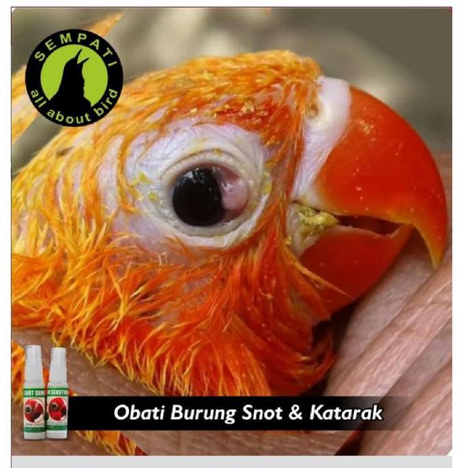 Bluee- G014036 Snot Sembuh Seketika Merek Sempati Obat Sakit Mata Katarak