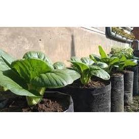 Bisa Cod 1Kg - Polybag Tanaman Lengkap Plastik Polybag / Polybag Tanaman .....