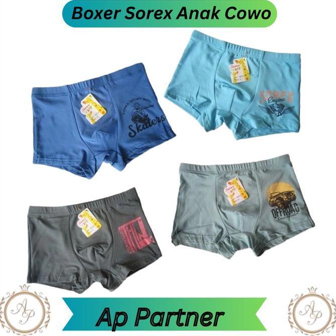 DB33 >> Celana Dalam Anak Cowo Segi Empat Celana Boxer Karakter Anak Laki Laki Anak Cowok 7 8 Tahun 