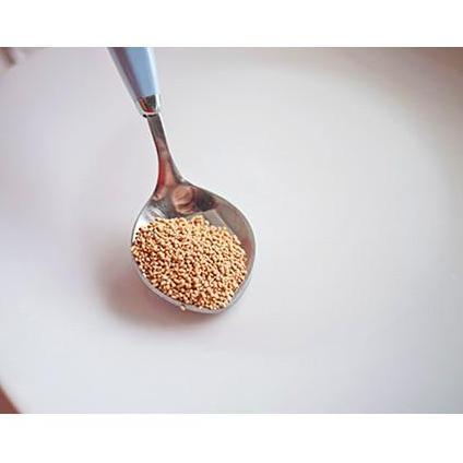 Bestone- Katsuo Dashi Halal KatBushi Dashinomoto Kaldu Ikan Ramen Udon Marutomo