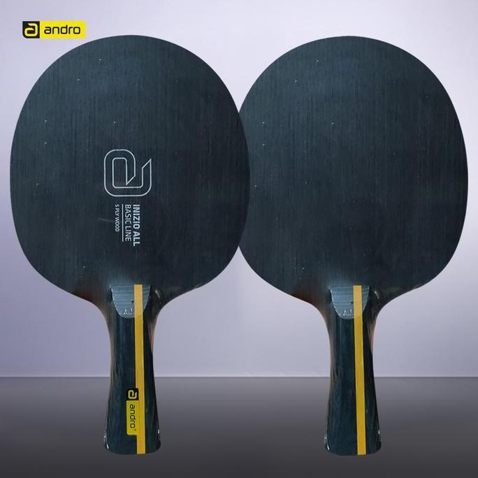 Kayu Bat Tenis Meja Andro Inizio All Fl