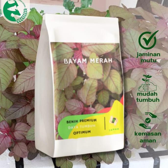 PROMO Benih Bayam Merah 1 kg TANAM SEED Unggul Nutrisi Tinggi Bisa Cabut Atau Potong