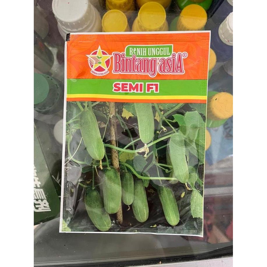PROMO Benih Mentimun SEMI F1 Bintang Asia Timun Lalap Timun Baby