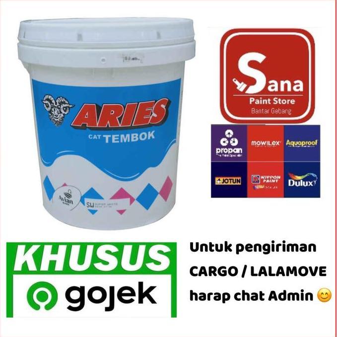 Cat- Cat Tembok Aries 20 Kg / Putih