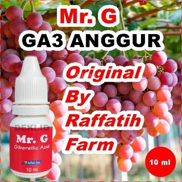 Indah- Mr. G Hormon Ga3 Untuk Tanaman Anggur By Raffatih Farm Ga 3