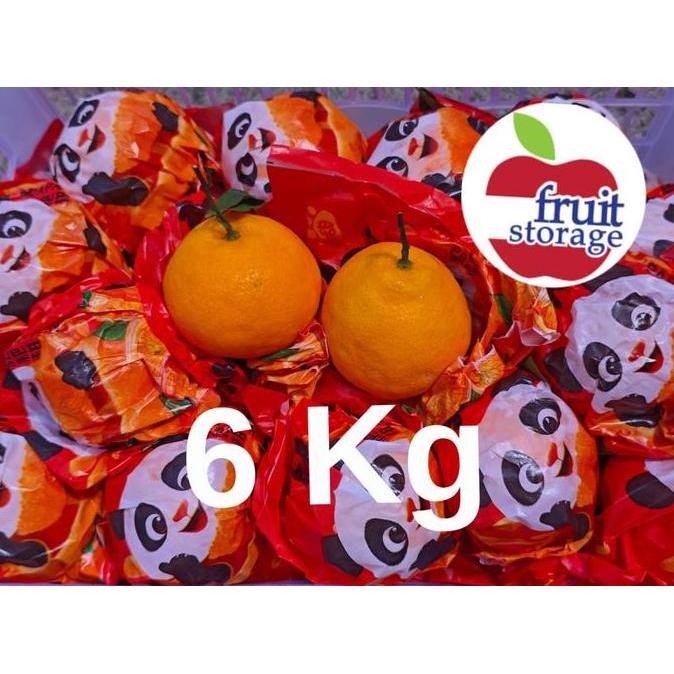 Jeruk Dekopon / Chunjian / Papagan Jeruk Mandarin