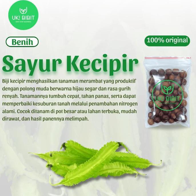 Indah- ( 1 Kg ) Benih Biji Sayuran Kecipir Lalap | Kecipir Sayur | Kecipir Hijau