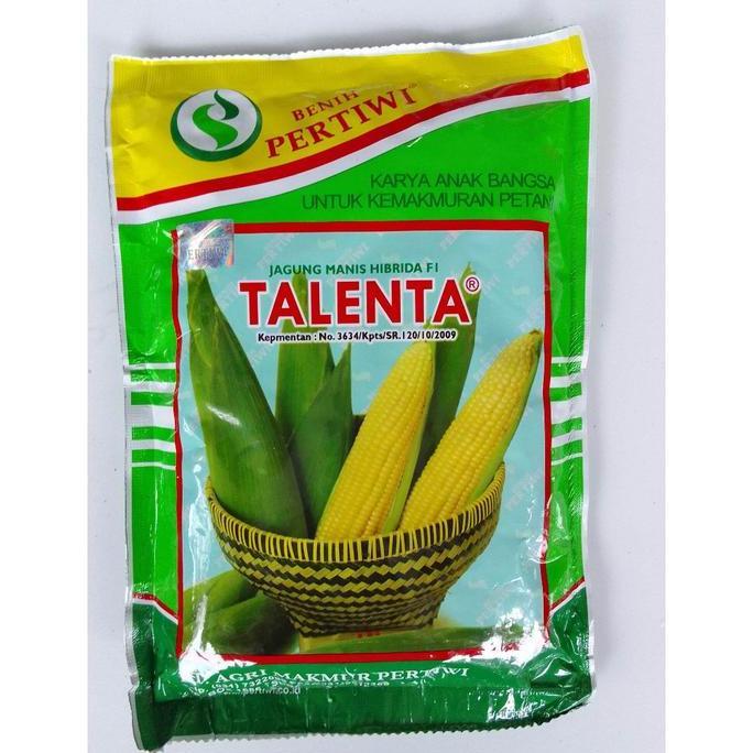 TERMURAH - Benih jagung TALENTA F1 250gram jagung manis hibrida TALENTA dari benih pertiwi jagung ma