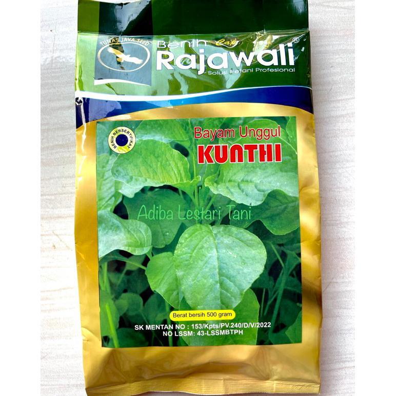 Benih Bayam KUNTHI 500 Gram - Bibit Bayam Cap Rajawali