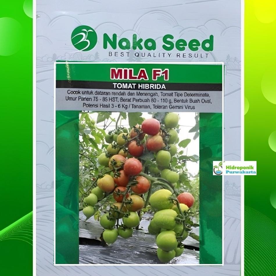 Benih Tomat MILA F1 5 gram Buah Oval Dataran Rendah Menengah Cap Naka Seed
