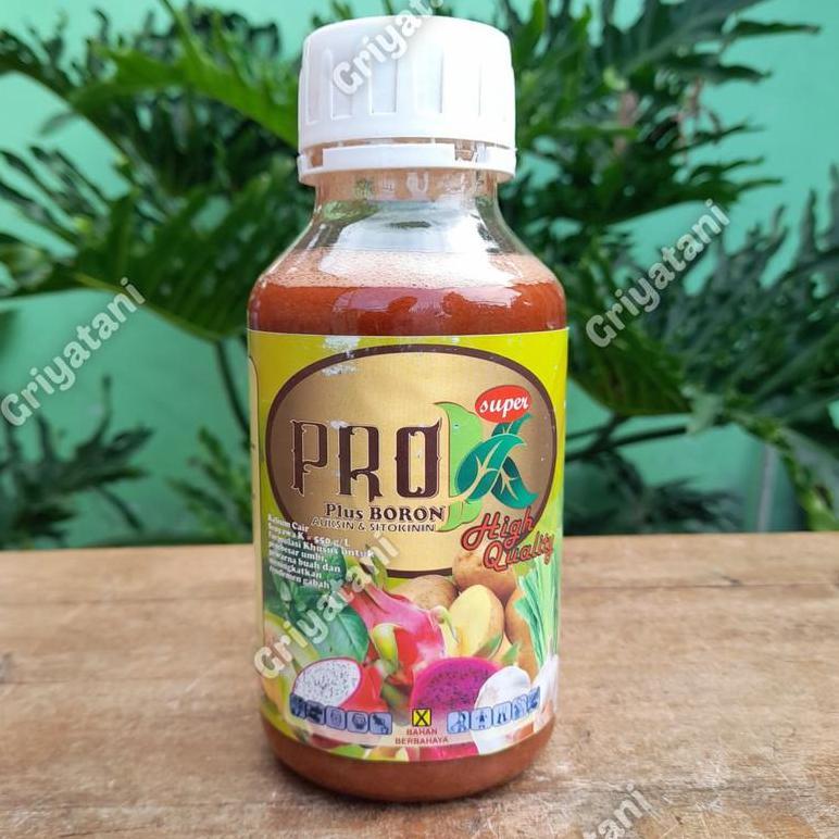 Pupuk Kalium Cair Pro K Plus Boron