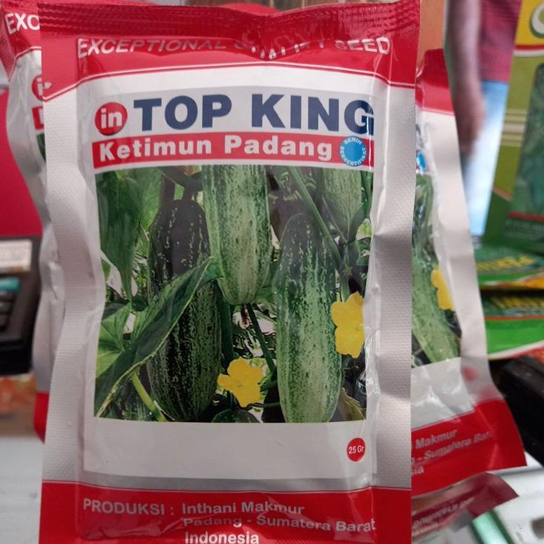 Benih Timun Padang Top King
