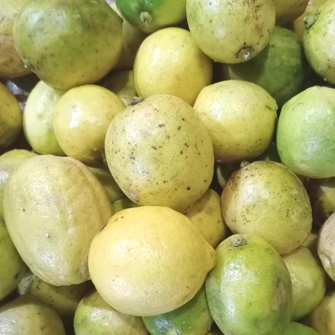 Frutexz- Jeruk Lemon Lokal Super Segar 1Kg