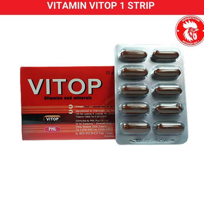 Vitamin Vitop 1 Strip Multivitamin Witop Tablet Vitop Kemasan Baru Vitamin Ayam Bangkok Vitop Ayam B