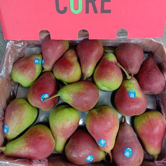 Frutexz- Pear Forelle | Buah Pear Forelle | Pear Fresh - 1Kg