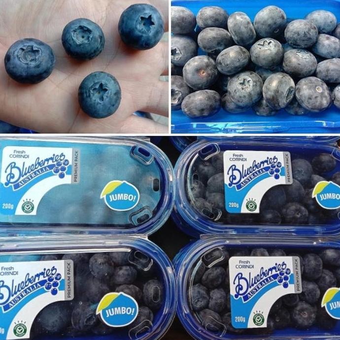 Frutexz- Buah Blueberry Fresh No Strawberry Cranberry Raspberry Betty