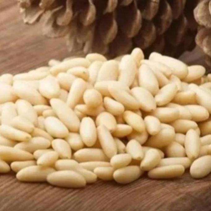Kacang Pine Nut /Kacang Pinus Raw 250gram