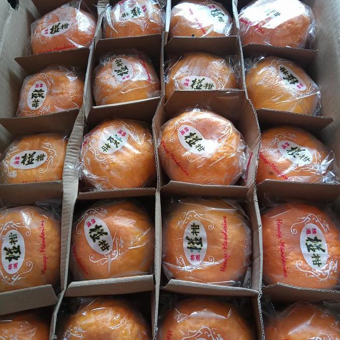 jeruk ponkam / jeruk mandarin / jeruk imlek LC