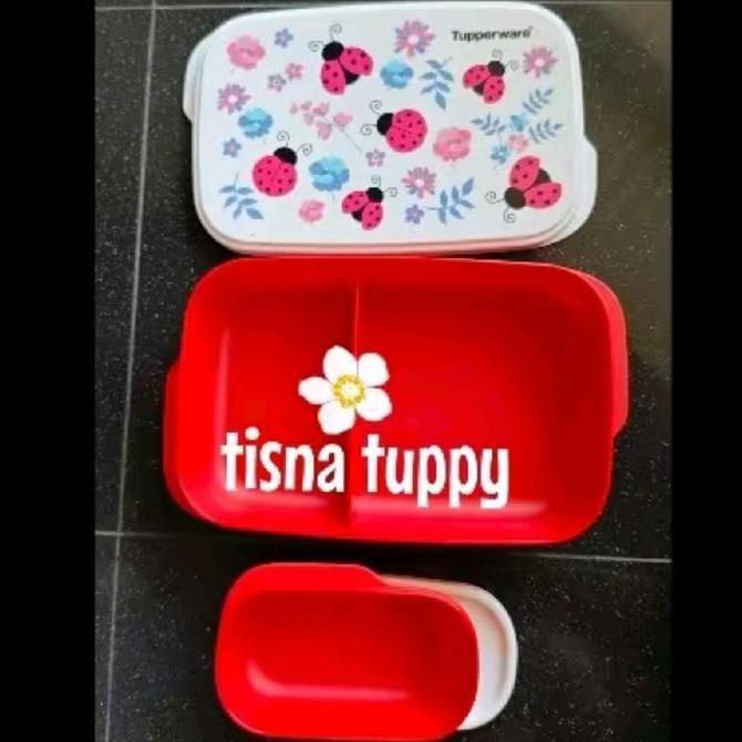 Foodie buddy kotak makan bekal tupperware malaysia kumbang (tanpa tas)