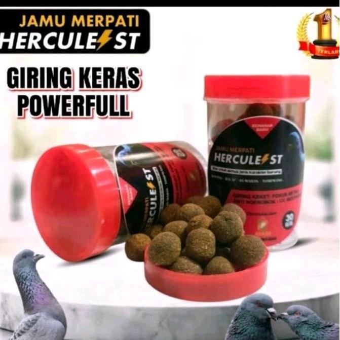 Tahan Lama  Jamu Merpati Hercules Giring Keras Untuk Merpati Kolong Balap Tomprang Stabil Tinggi Ant