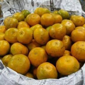 Frutiforti- Jeruk Medan Super/1Kg