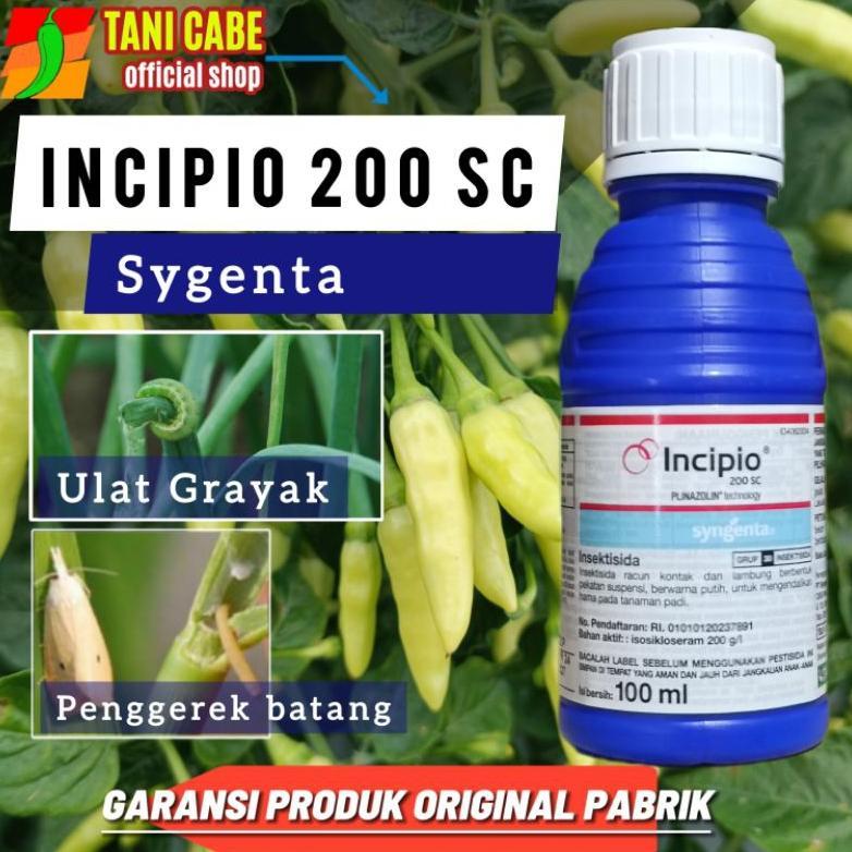 Insektisida Incipio 100 Ml Untuk Tanaman Padi