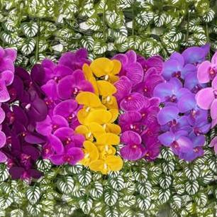 Bunga Anggrek Letex Premium - Bunga Artificial Anggrek Latex - Dekorasi Bunga Anggrek Plastik Latex 