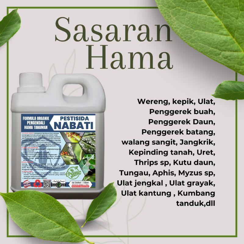 Pestisida Nabati Pengendali Hama Tanaman Padi Jagung Nilam Sawit Karet Cabai Kopi Anggur Melon, Dll.
