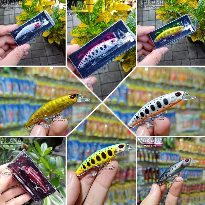 Lure Minnow Sakana Blacktip 60s