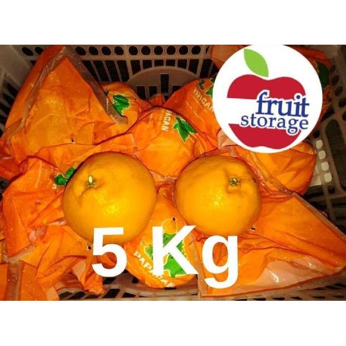 Jeruk Dekopon / Chunjian / Papagan Jeruk Mandarin LJ