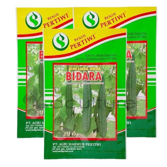 Benih Oyong Gambas Bidara F1 Isi 10 Gram Cap Benih Pertiwi