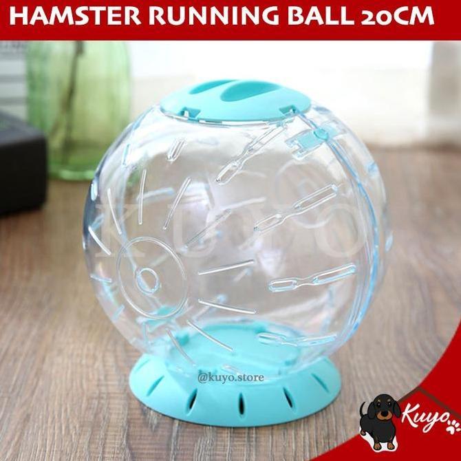 Running Ball Big 20cm Mainan Hamster Lari Roda Putar Besar Landak Mini [terbaik]