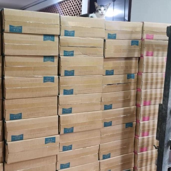 NEW Makanan Kucing Life cat kaleng 1 dus Life cat dus 1 box Life Cat dus