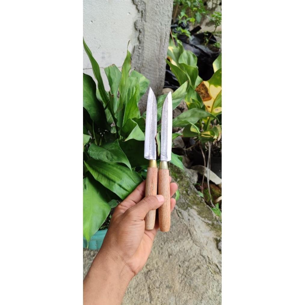 BEST DEALS 3 pcs pisau dapur kecil bahan baja gergaji, pisau tajam, pisau seset, pisau kupas buah, b