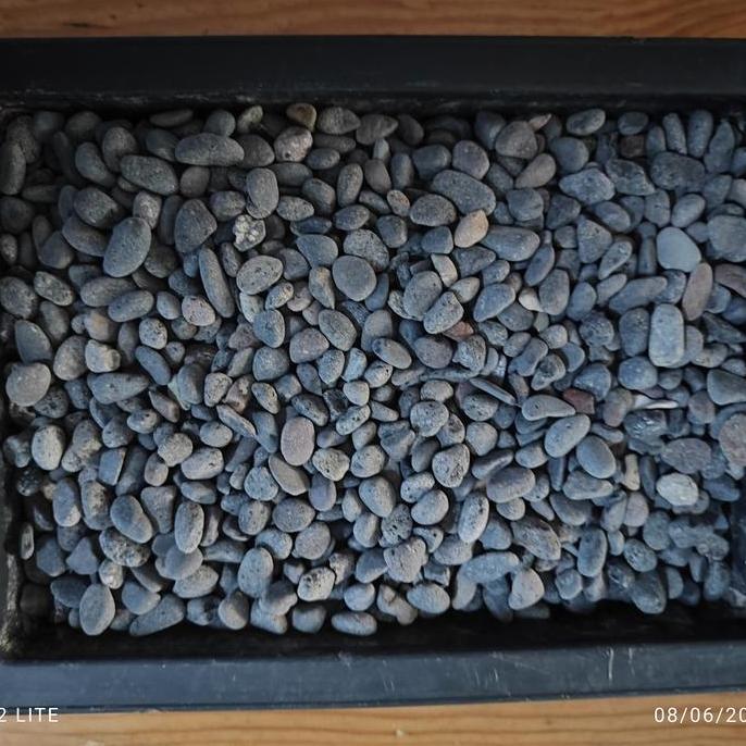 Batu Abu Garut (Batu Alam Koral Sikat Carport Lantai Garasi Tabur Hiasan Taman)