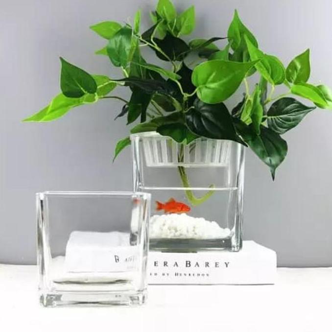 VAS BUNGA KACA KOTAK PERSEGI / POT TANAMAN AIR HIDROPONIK AESTHETIC