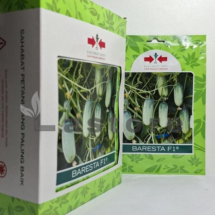 Benih Timun Baby Mentimun Baresta F1 Isi 175 Butir Kemasan Asli Cap Panah Merah