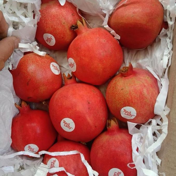 Frutting- Buah Delima Import | Delima Impor Pomegranate -1Kg
