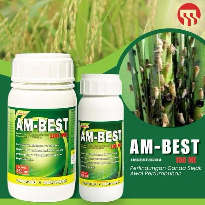 Insektisida Obat Anti Hama Ambest 100ME 100ml
