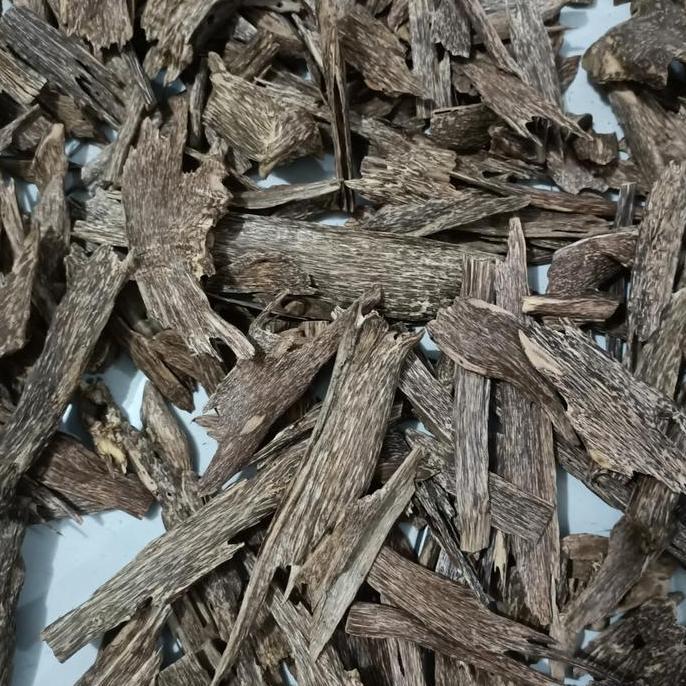 Kayu gaharu alami AB SUPER Kalimantan malacensis