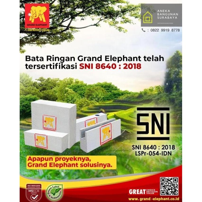 GRAND ELEPHANT | BATA RINGAN AAC GE | HEBEL
