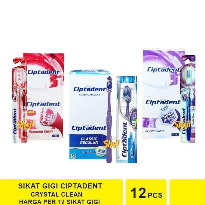 Willll- 1 Box Isi 12 Pcs Sikat Gigi Ciptadent
