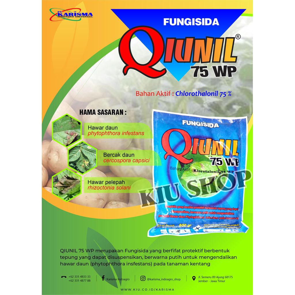 QIUNIL 75WP 500GRAM FUNGISIDA/klorotalonil 75 wp/500gram