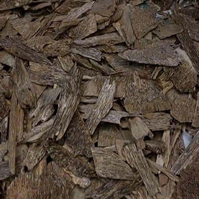 Kayu Gaharu Kalimantan GKCBB01 Asli Alami Wangi Khas Natural Grade Kacangan AB